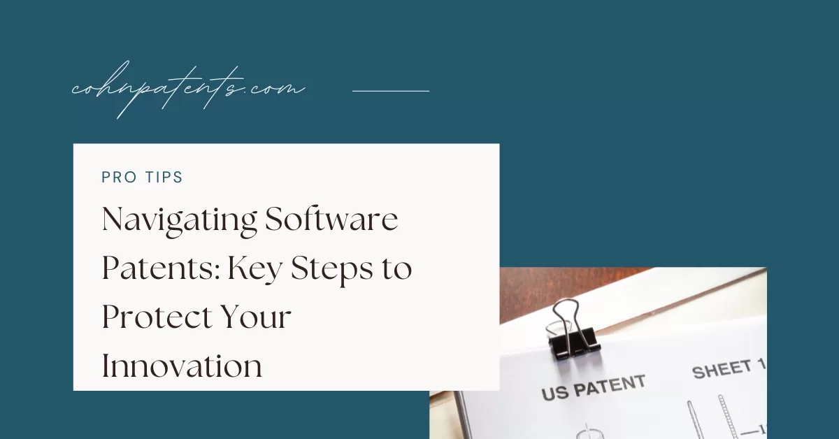 Navigating Software Patents